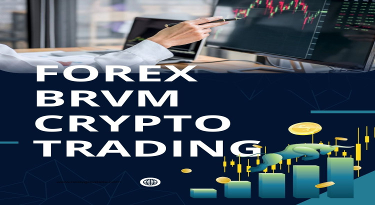 Je vous aide à comprendre le fonctionnement de la bourse et comment investir - Brvm - Forex - Crypto